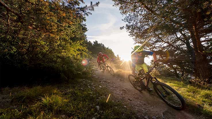 Mountain bike trail in South Tyrol