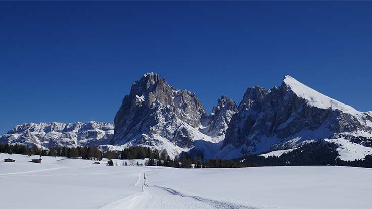 Vista dall'Alpe di Siusi verso il Sassolungo